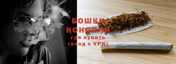 хмурый Новозыбков
