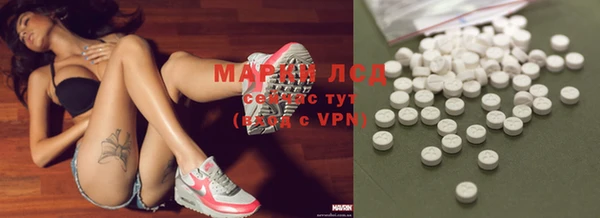хмурый Новозыбков