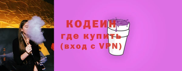хмурый Новозыбков