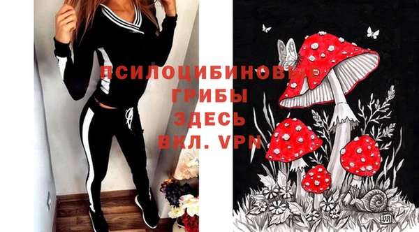 спиды Новокубанск