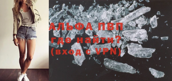 хмурый Новозыбков