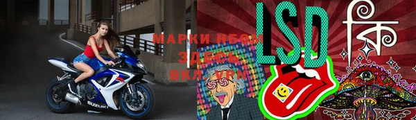 хмурый Новозыбков