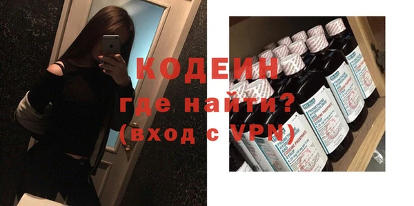 хмурый Новозыбков