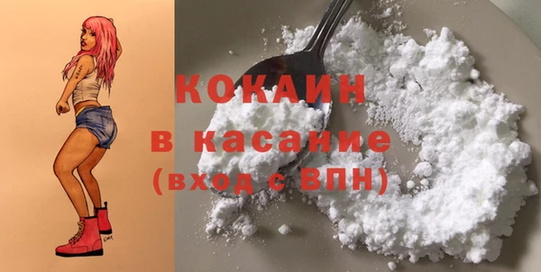 хмурый Новозыбков